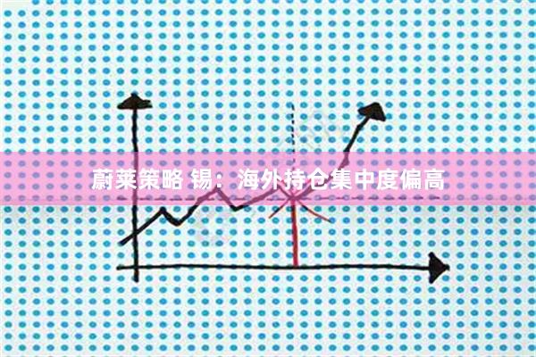 蔚莱策略 锡：海外持仓集中度偏高