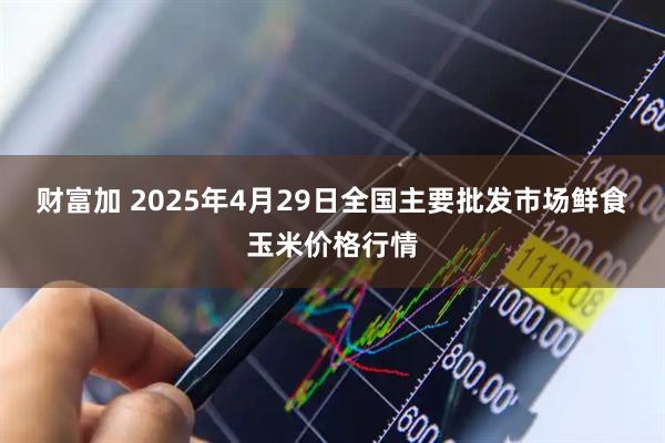 财富加 2025年4月29日全国主要批发市场鲜食玉米价格行情