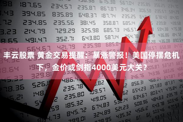 丰云股票 黄金交易提醒：暴涨警报！美国停摆危机下，金价或剑指4000美元大关？