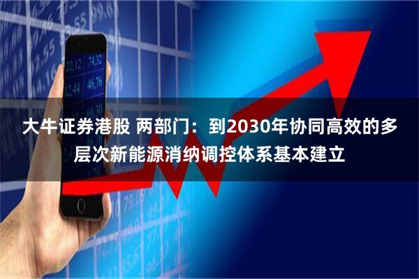 大牛证券港股 两部门:到2030年协同高效的多层次新能源消纳调控体系基本建立