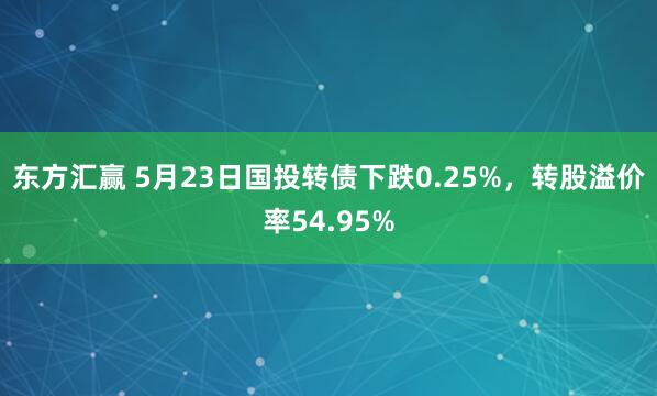 东方汇赢 5月23日国投转债下跌0.25%，转股溢价率54.95%