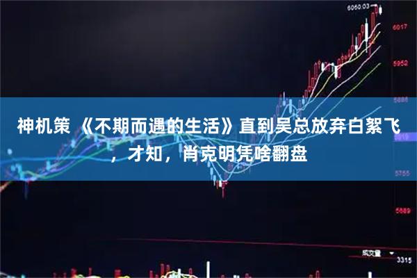 神机策 《不期而遇的生活》直到吴总放弃白絮飞，才知，肖克明凭啥翻盘